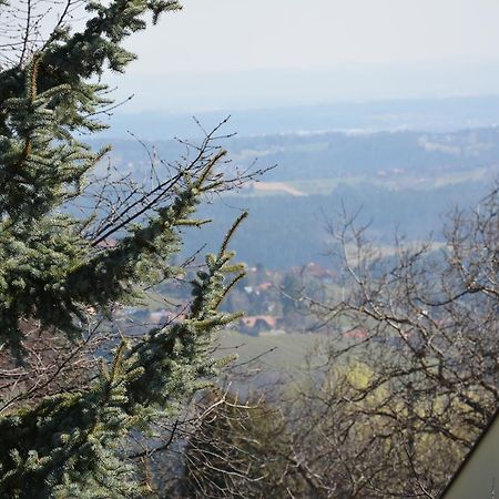 Weingut Seiner Vlg. Kraxner Villa Greisdorf Eksteriør billede