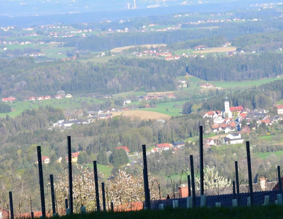 Weingut Seiner Vlg. Kraxner Villa Greisdorf Eksteriør billede